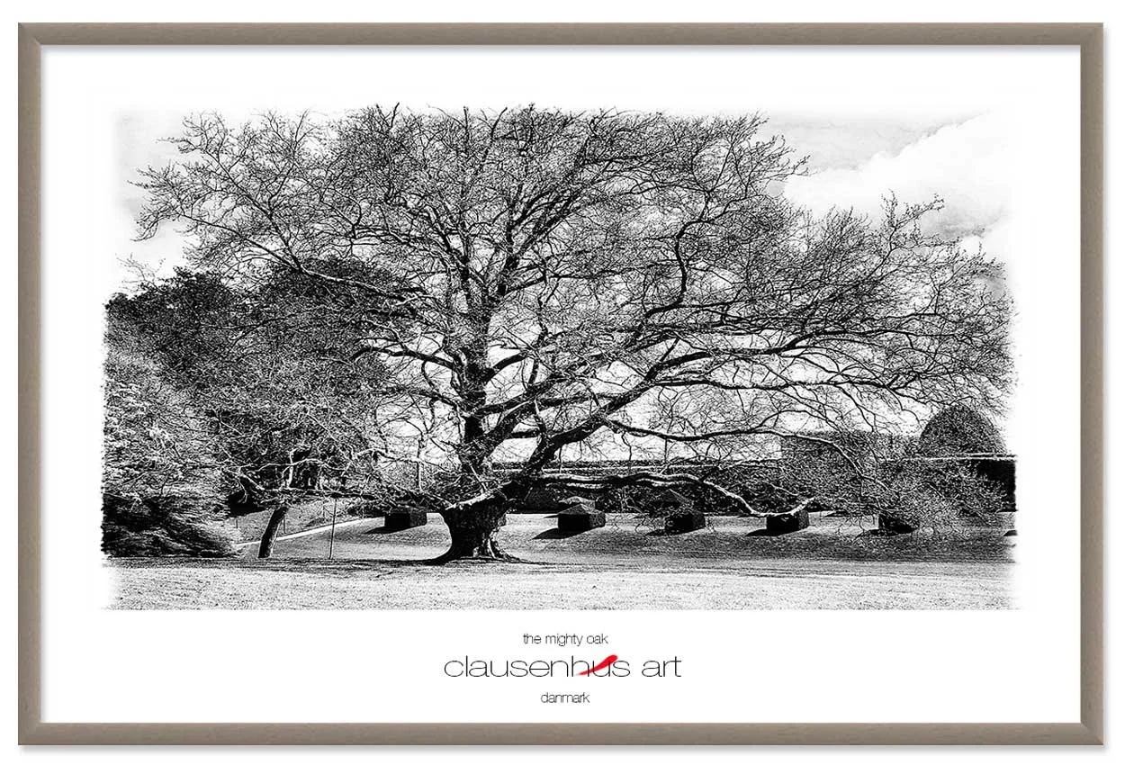 the-mighty-oak-copy.jpg