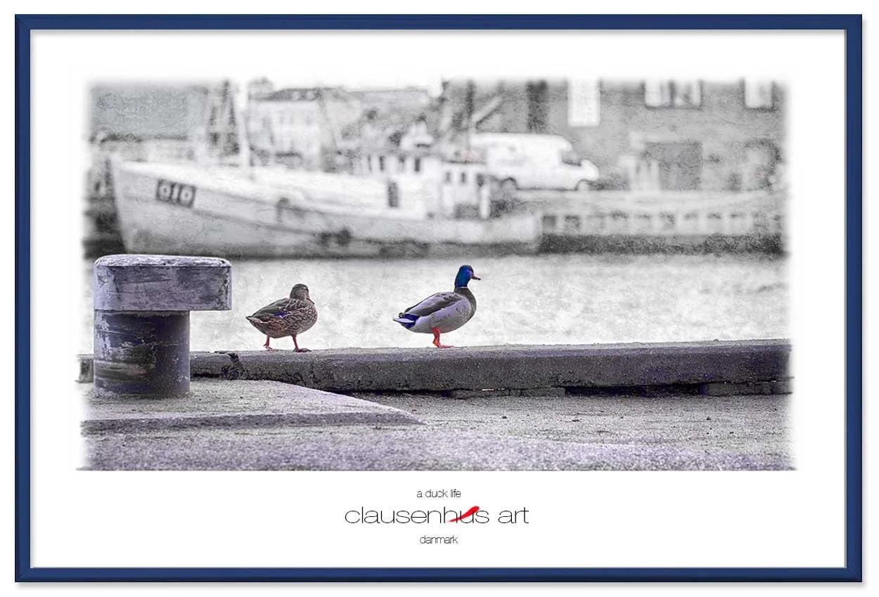 a-duck-life-copy.jpg