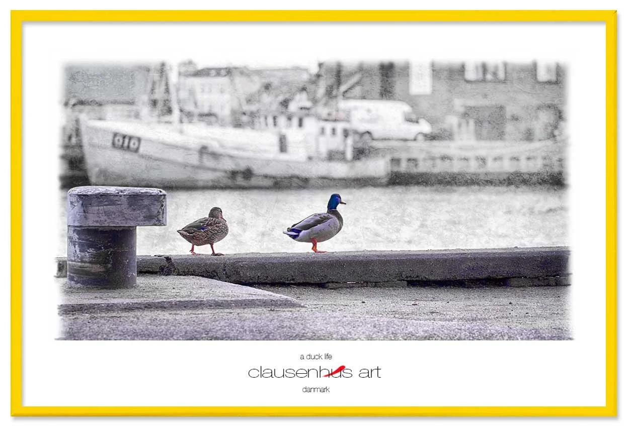 a-duck-life-copy.jpg