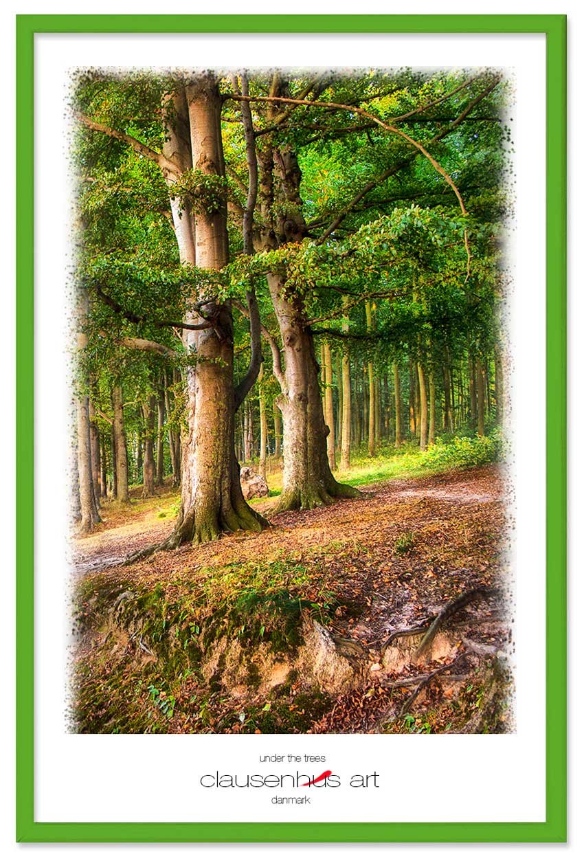 under-the-trees-copy.jpg