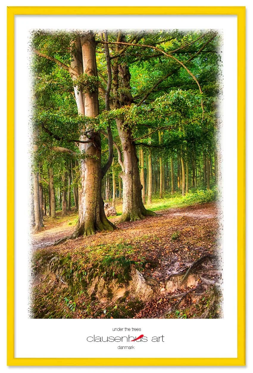 under-the-trees-copy.jpg