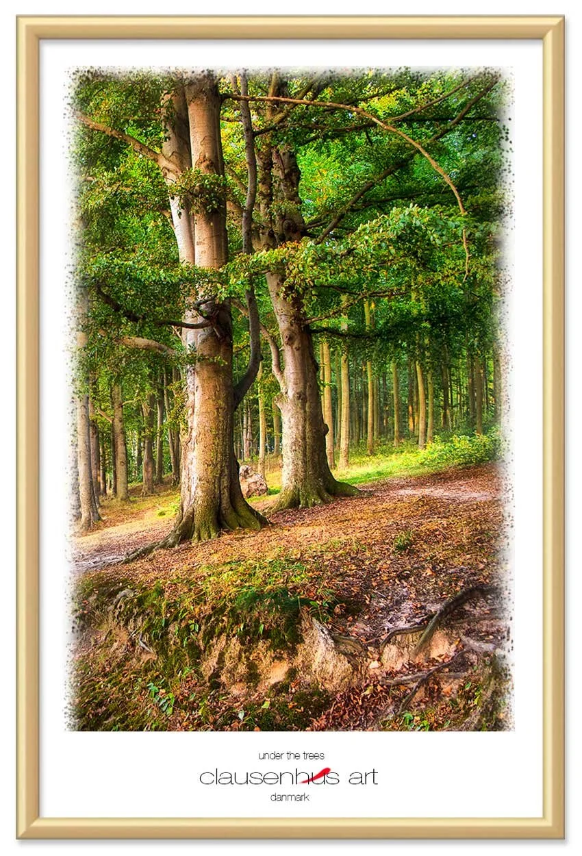 under-the-trees-copy.jpg