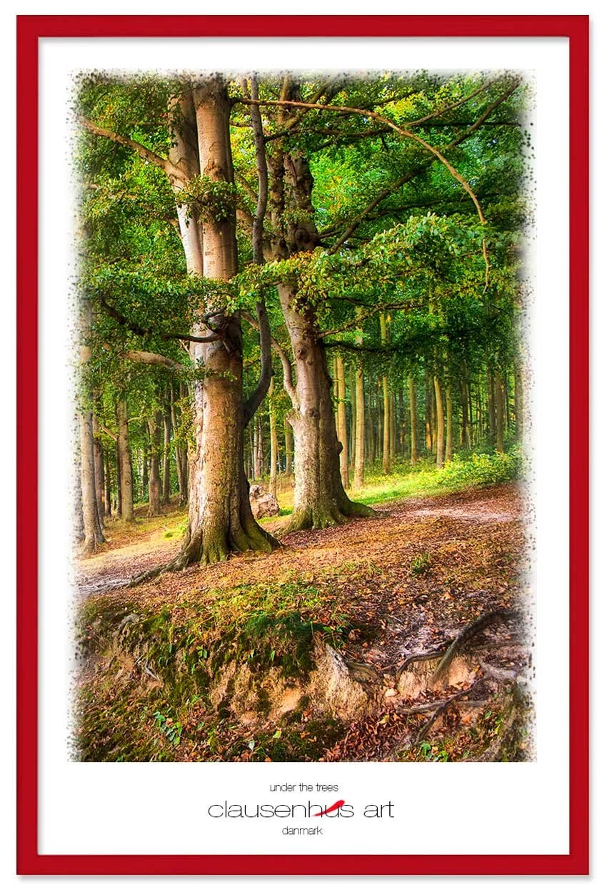 under-the-trees-copy.jpg