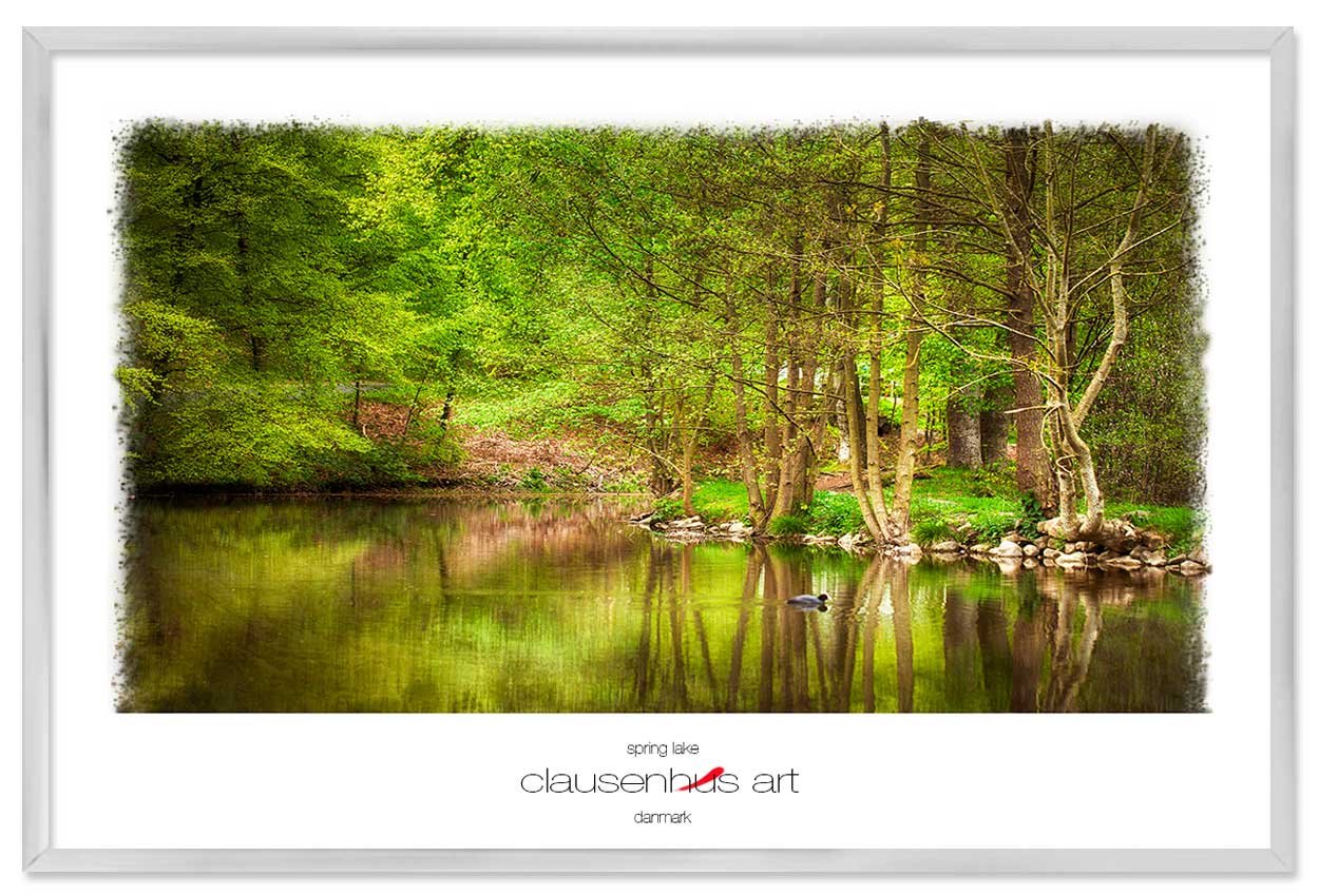 spring-lake-copy.jpg