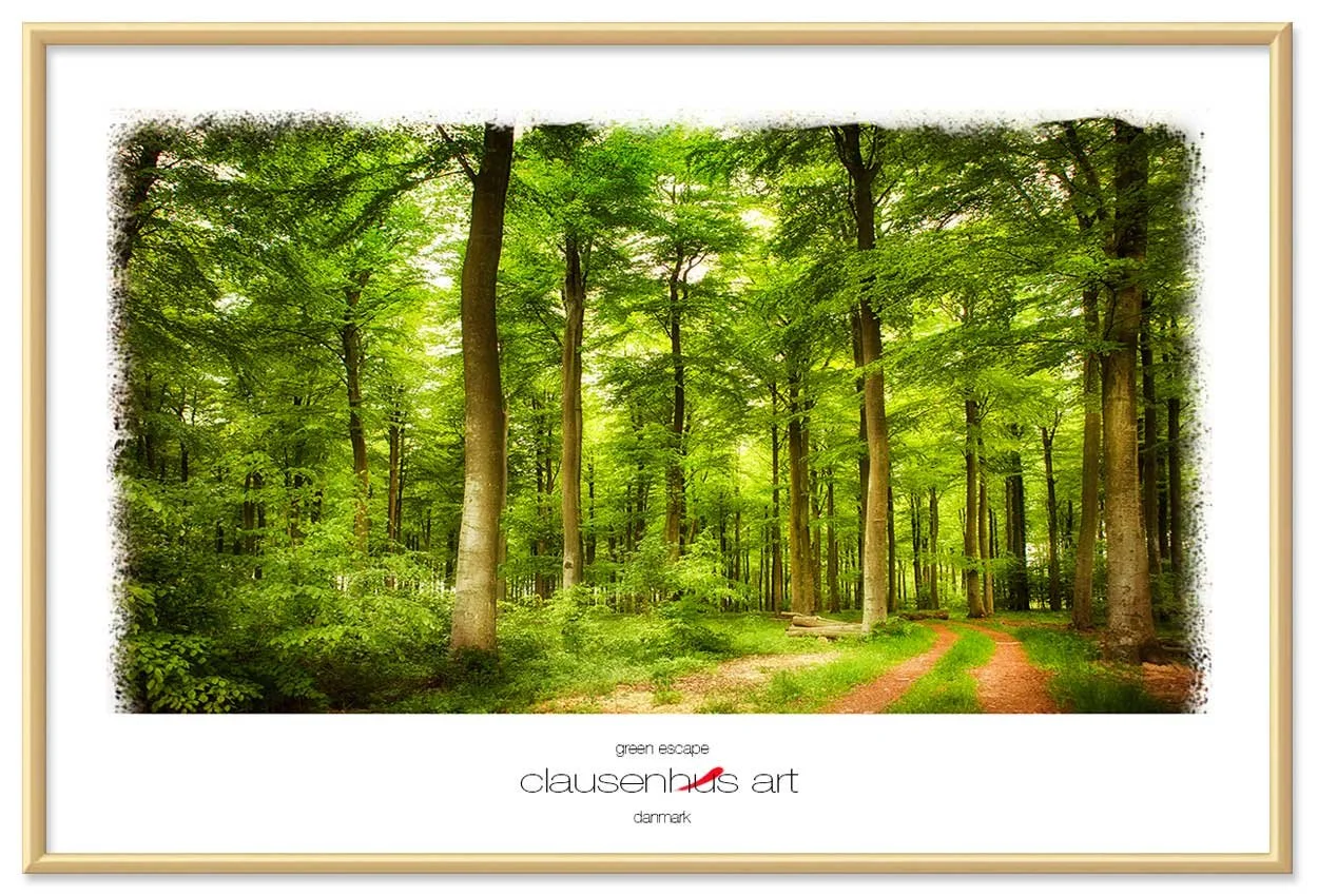 green-escape-copy.jpg