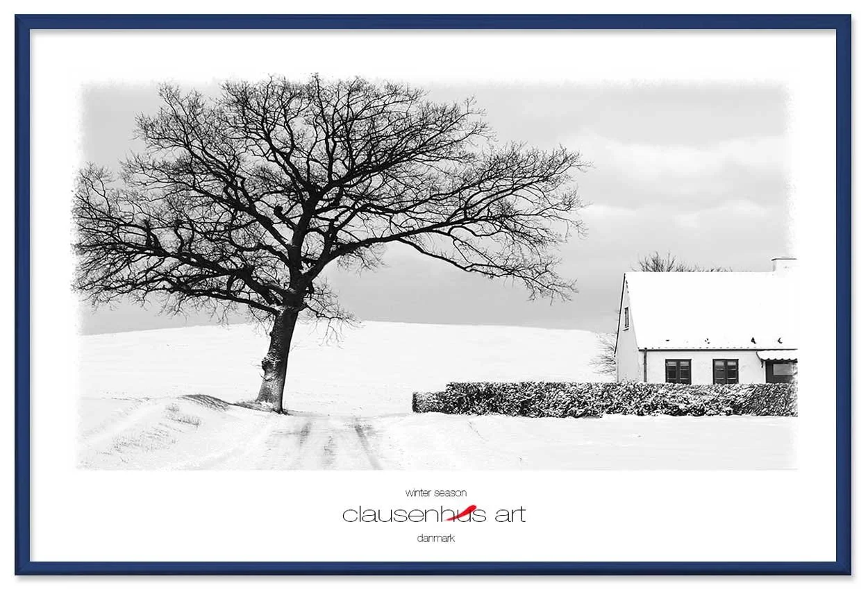 winter-season-copy.jpg
