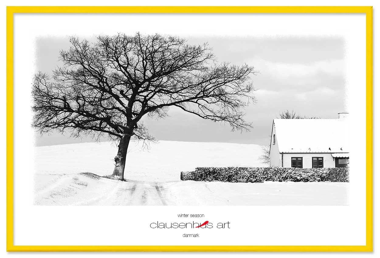 winter-season-copy.jpg