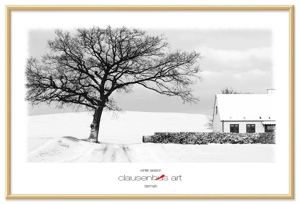 winter-season-copy.jpg