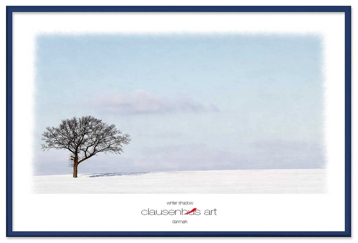 winter-shadow-copy.jpg