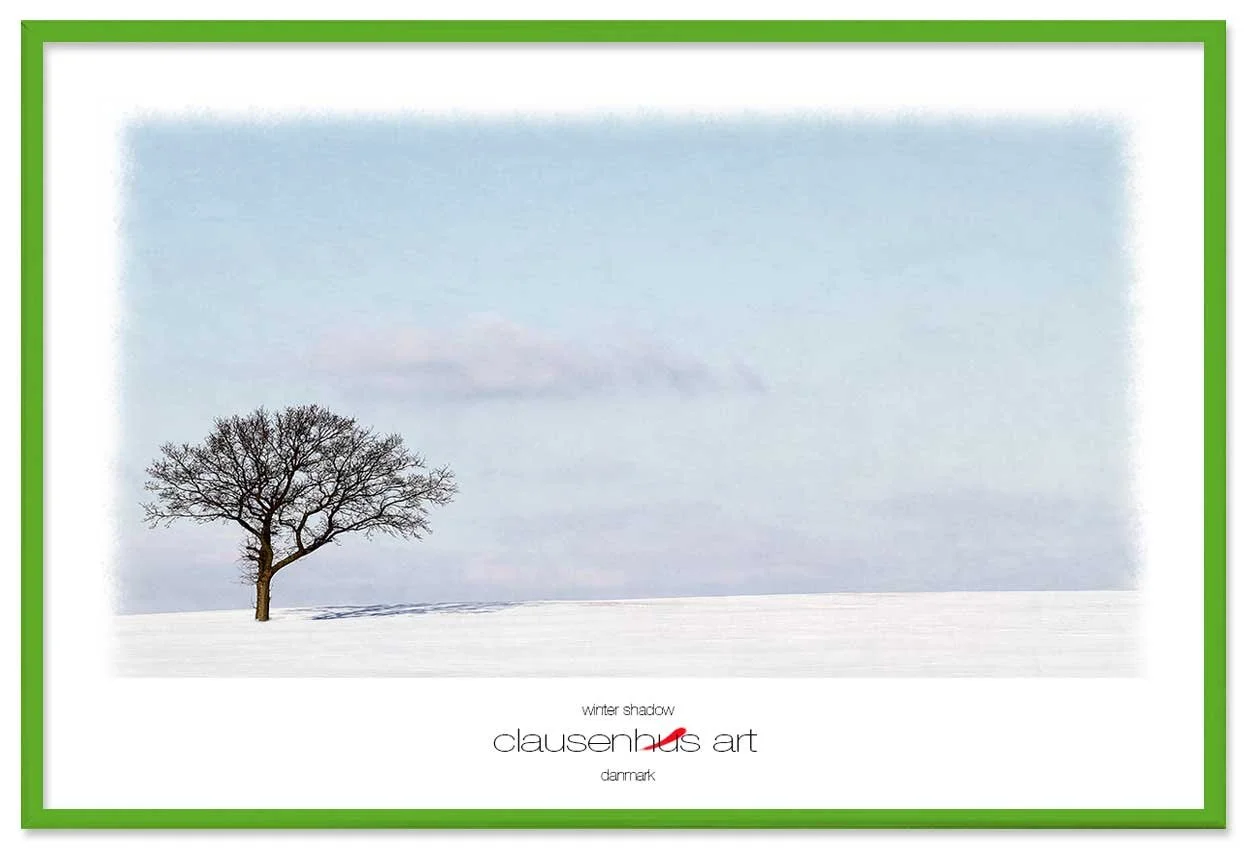 winter-shadow-copy.jpg