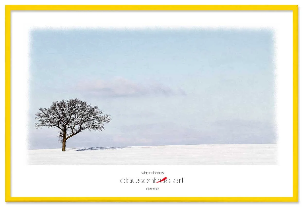 winter-shadow-copy.jpg