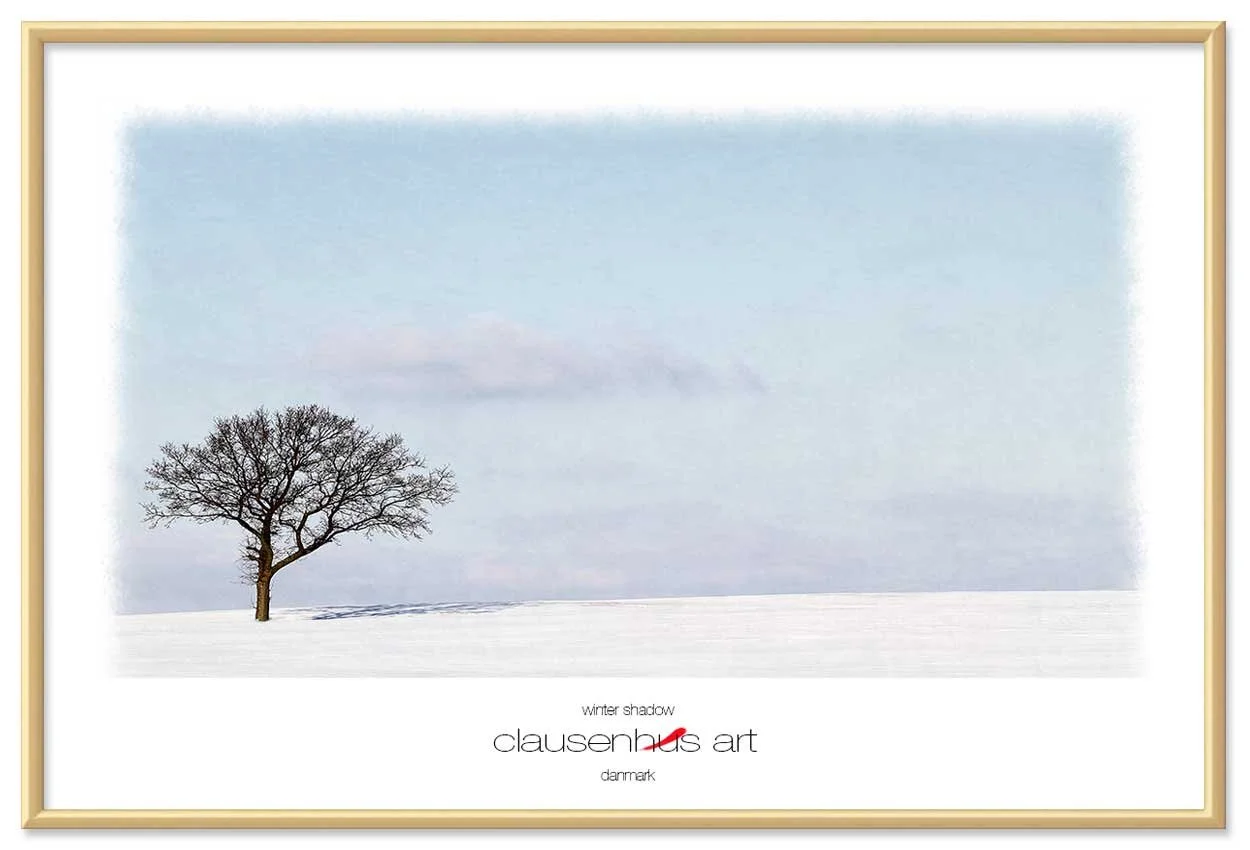 winter-shadow-copy.jpg