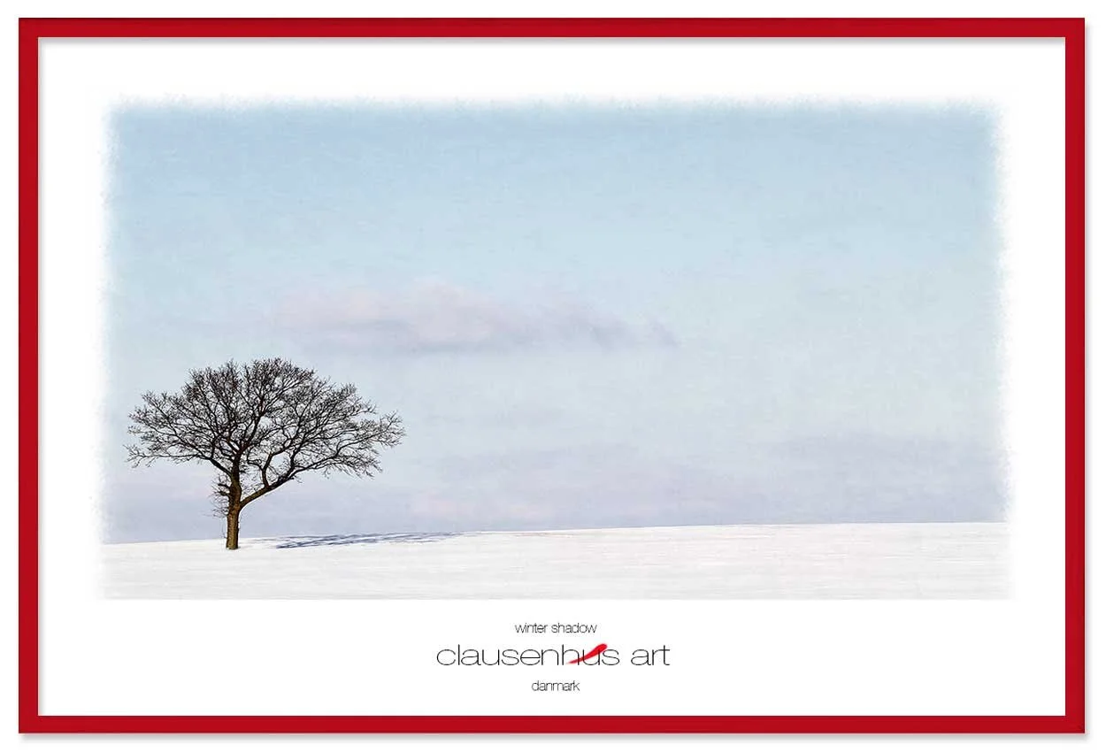 winter-shadow-copy.jpg