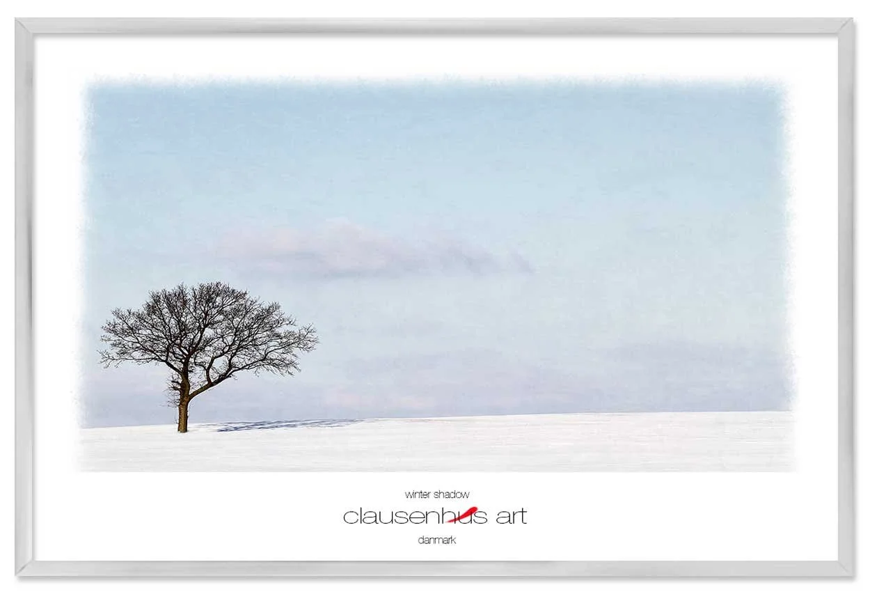 winter-shadow-copy.jpg