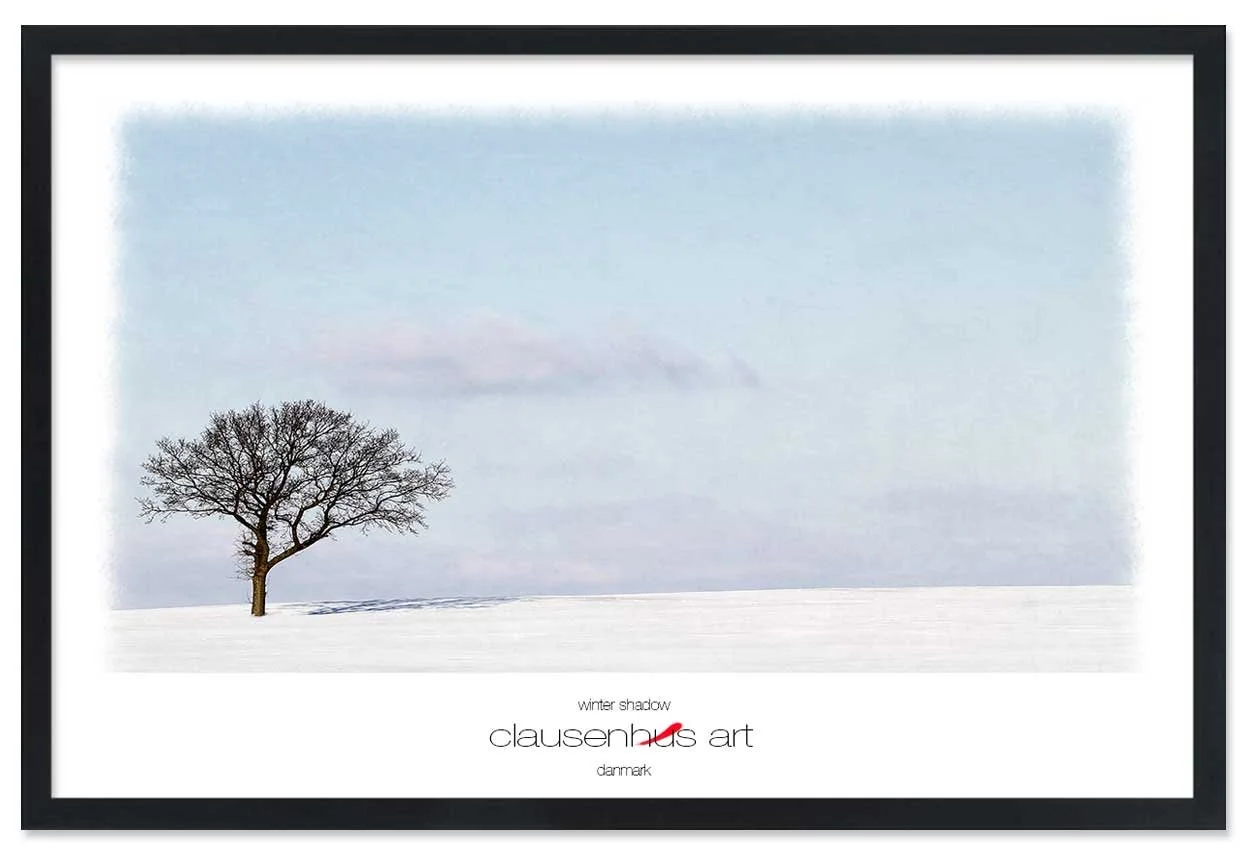 winter-shadow-copy.jpg