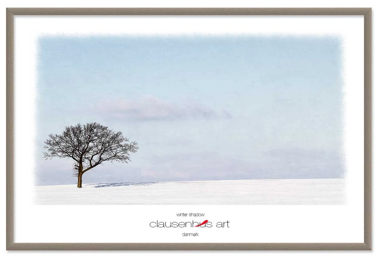 winter-shadow-copy.jpg