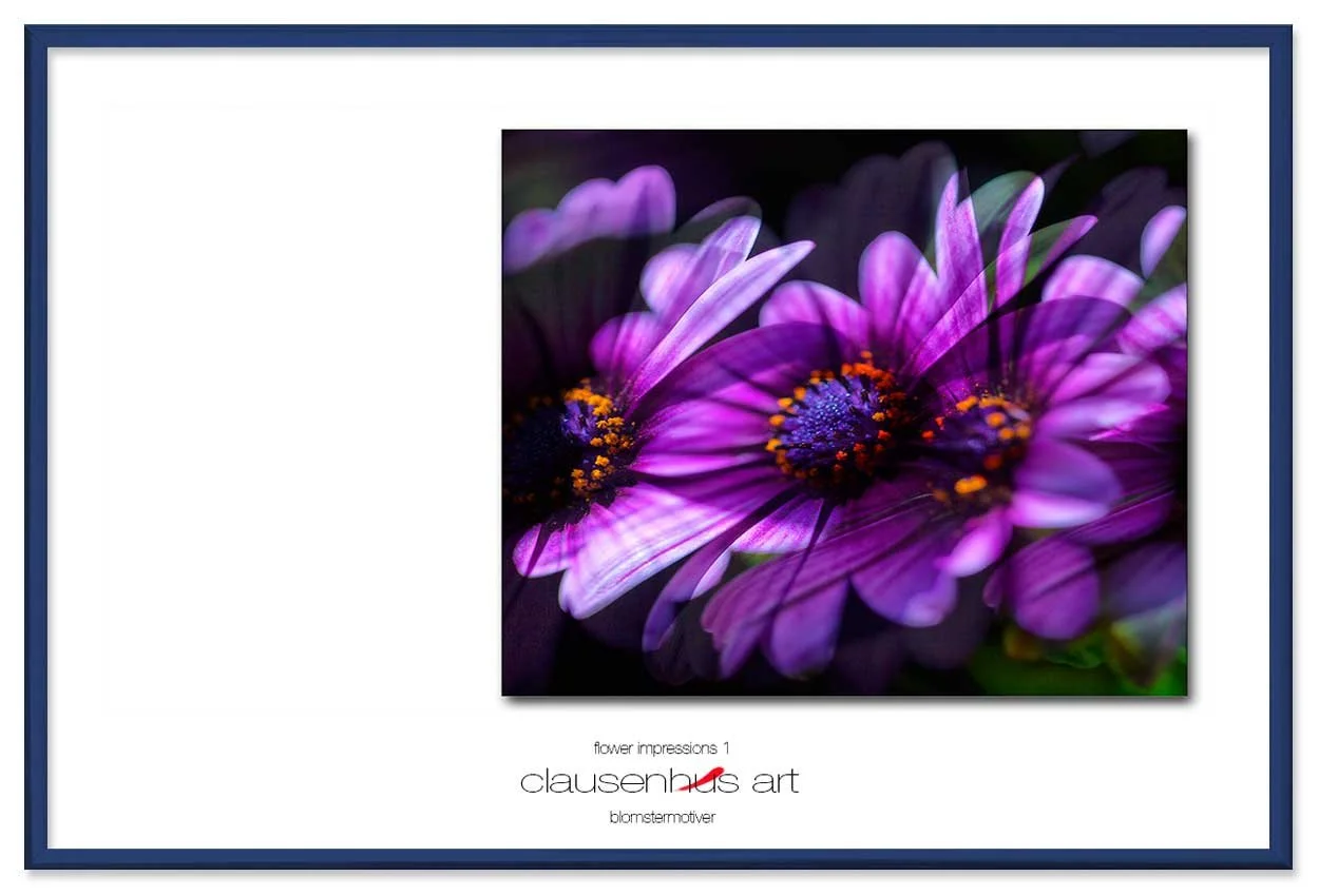 flower-impressions-1-copy.jpg