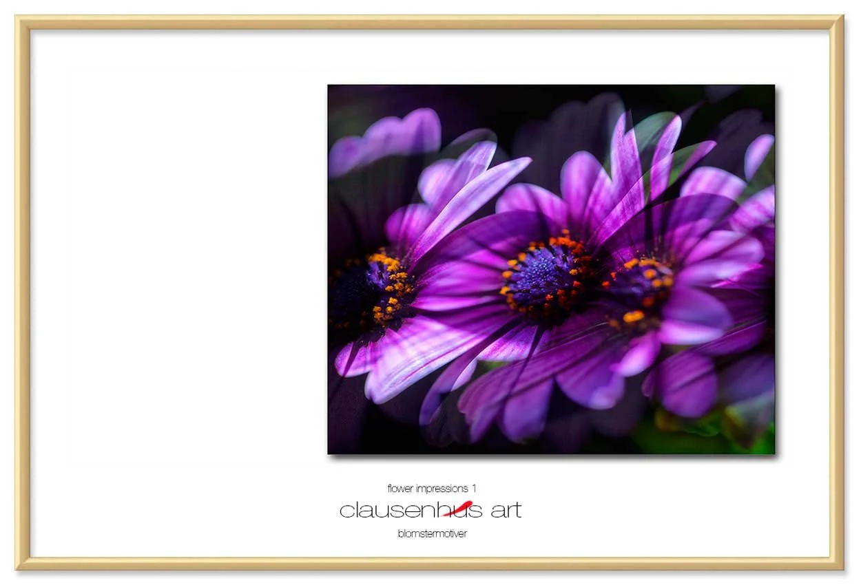 flower-impressions-1-copy.jpg