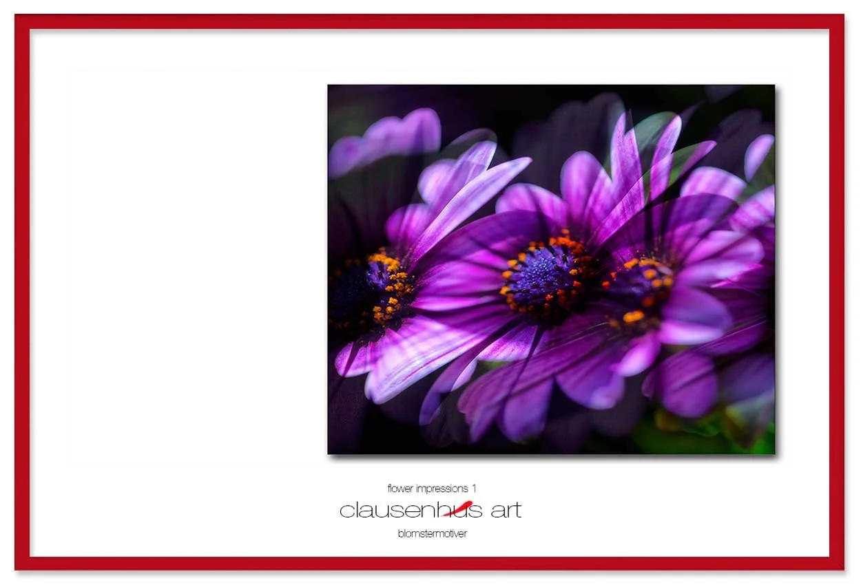 flower-impressions-1-copy.jpg