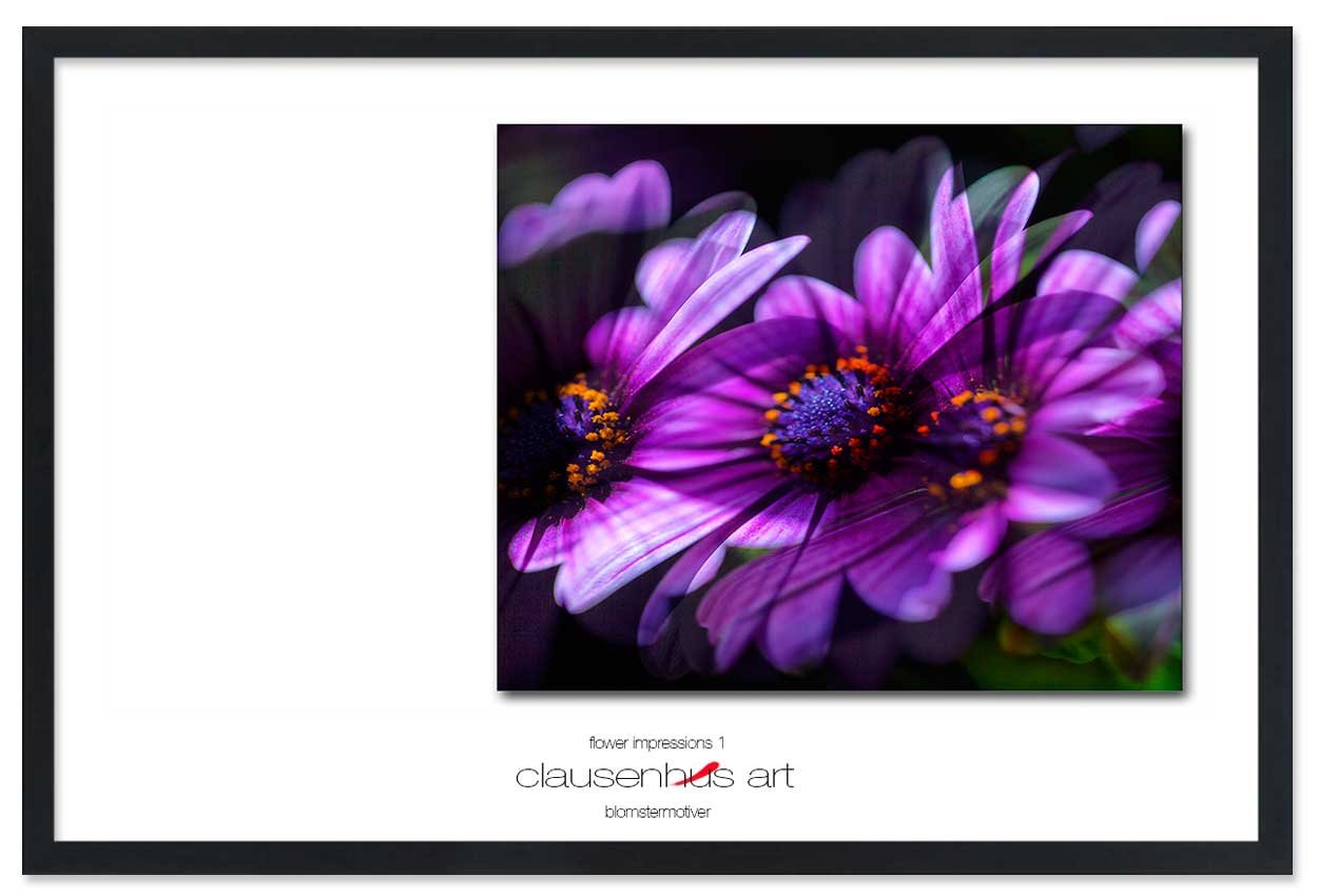 flower-impressions-1-copy.jpg