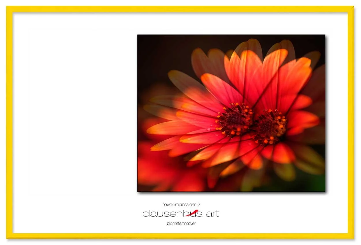 flower-impressions-2-copy.jpg