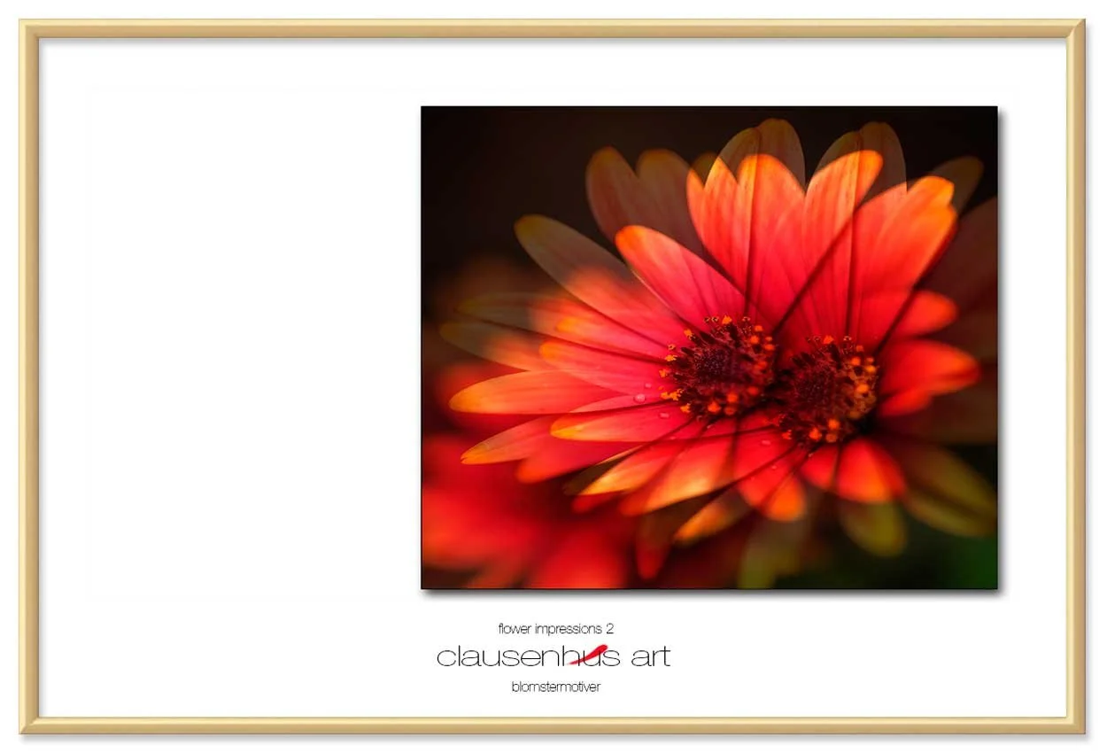 flower-impressions-2-copy.jpg
