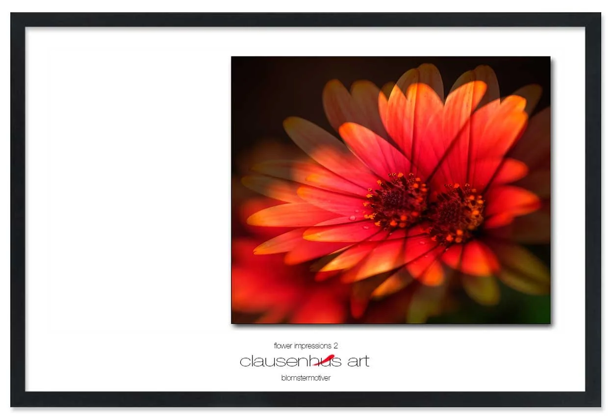 flower-impressions-2-copy.jpg