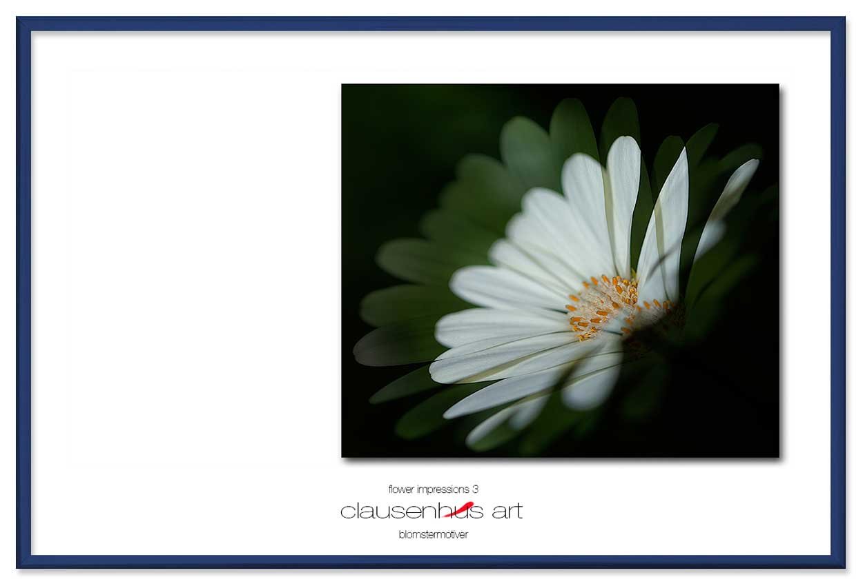 flower-impressions-3-copy.jpg