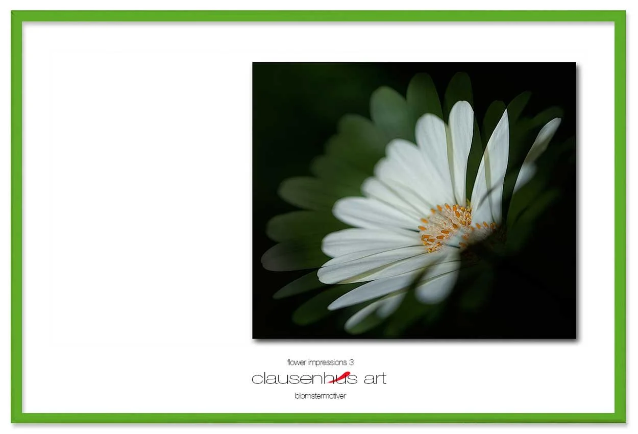 flower-impressions-3-copy.jpg