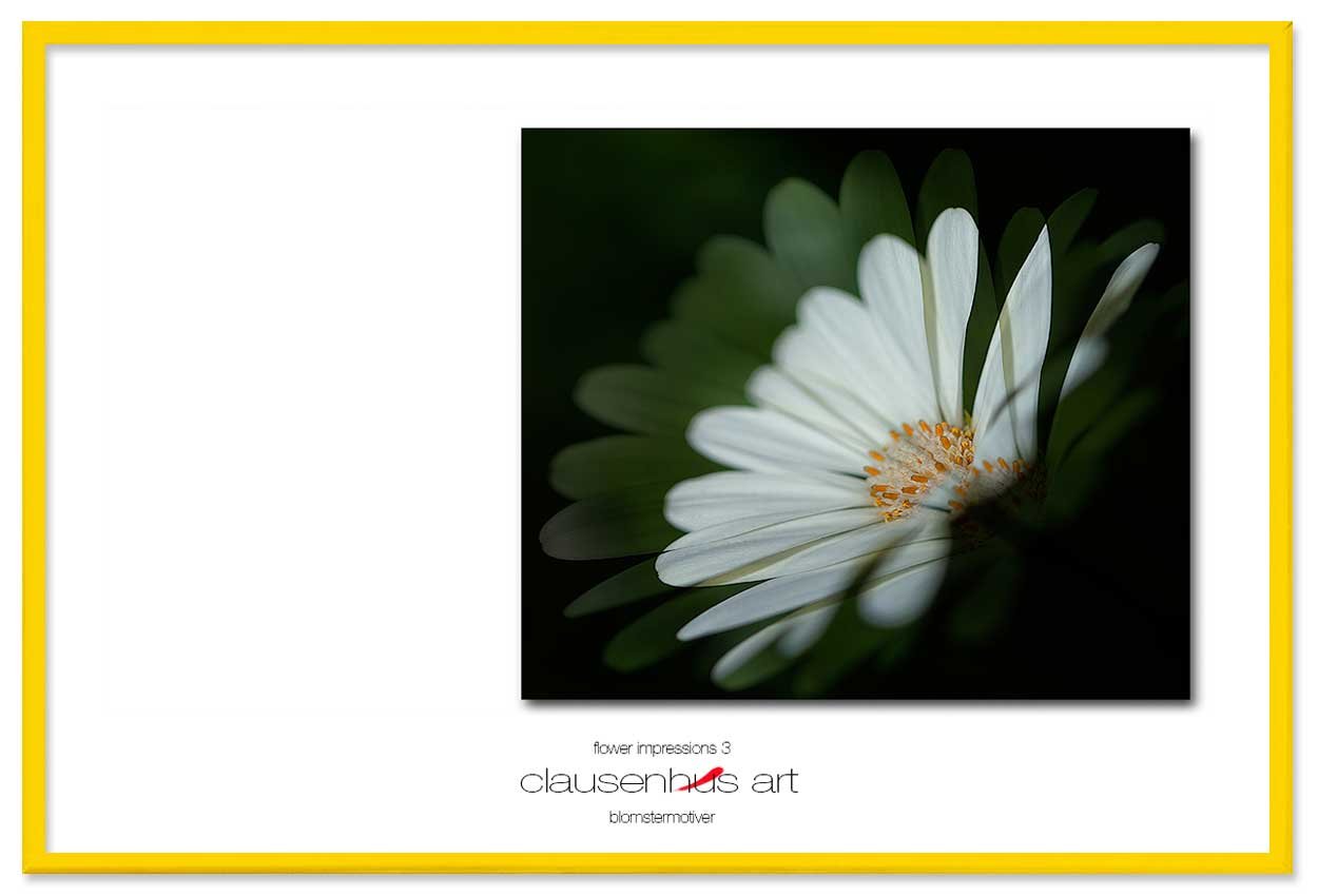 flower-impressions-3-copy.jpg