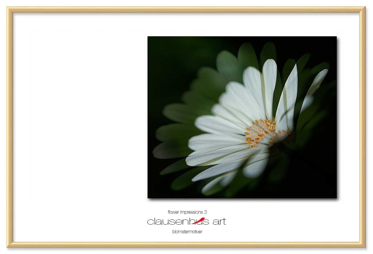 flower-impressions-3-copy.jpg