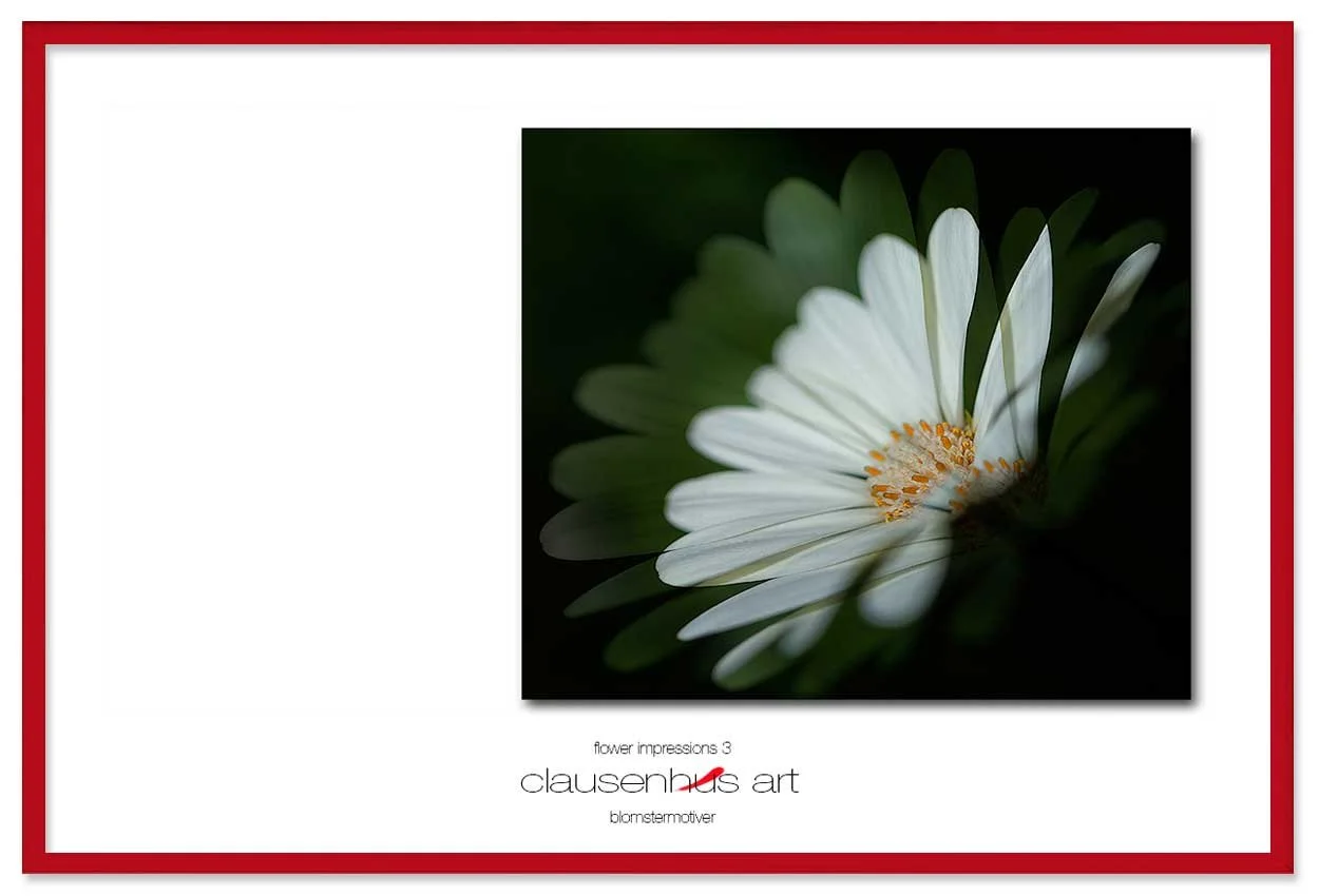 flower-impressions-3-copy.jpg