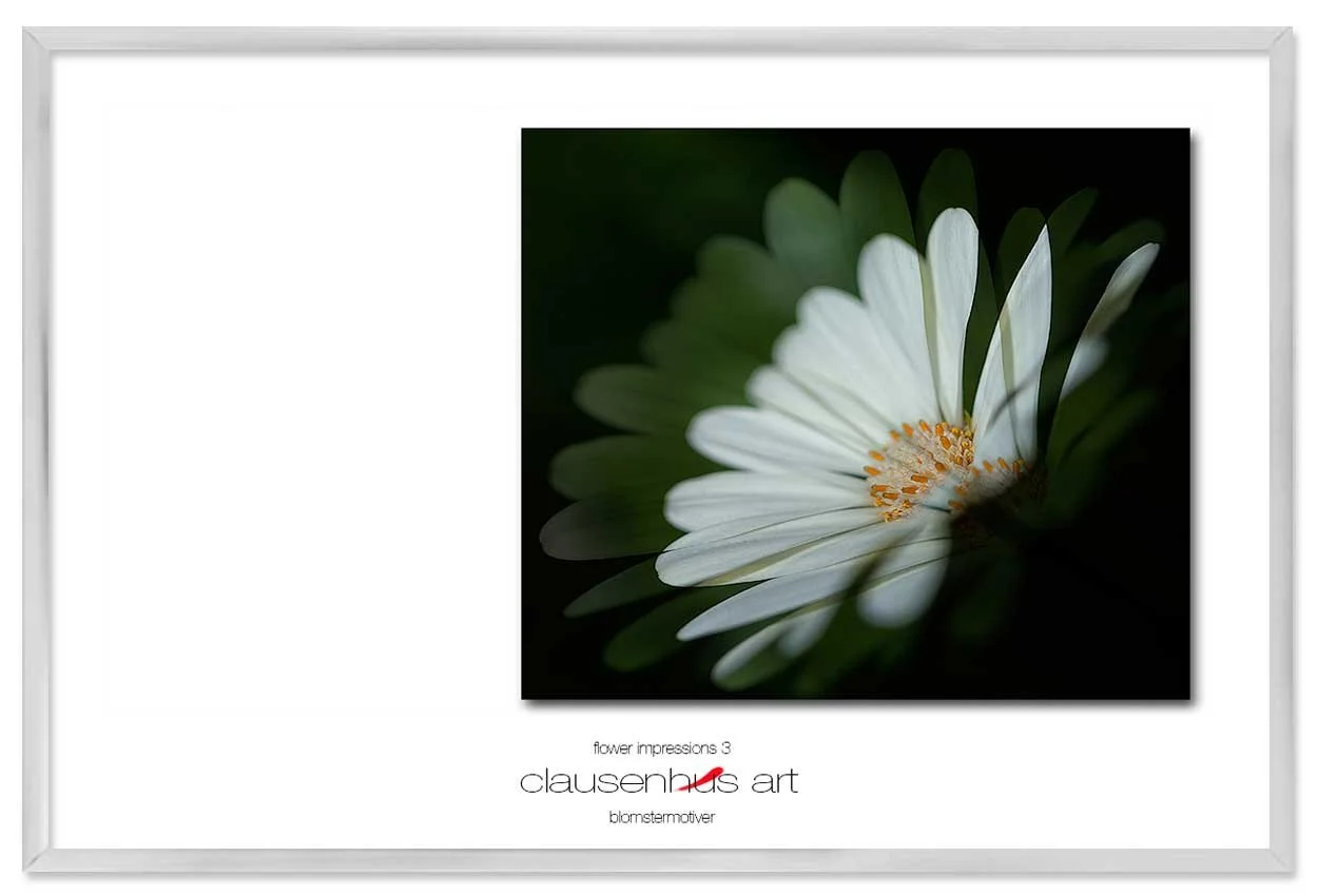 flower-impressions-3-copy.jpg