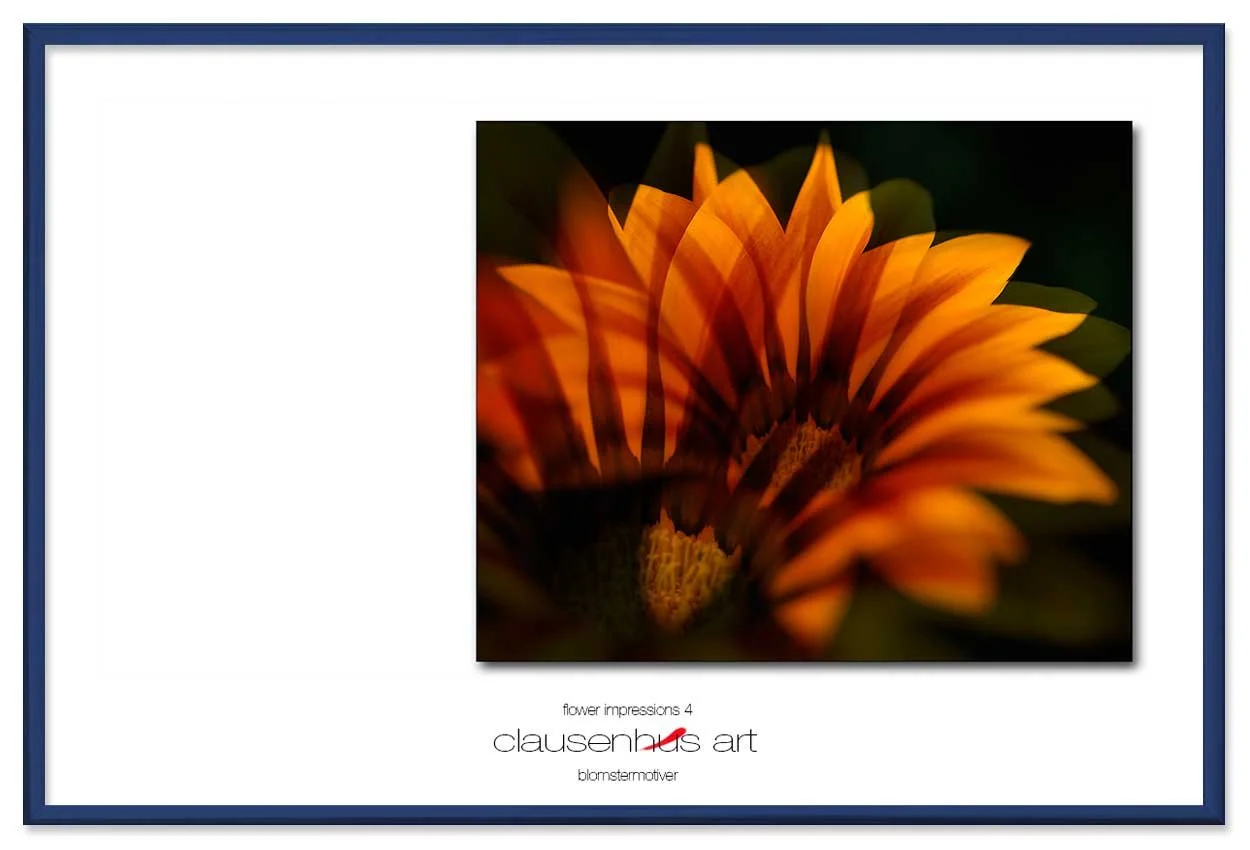 flower-impressions-4-copy.jpg