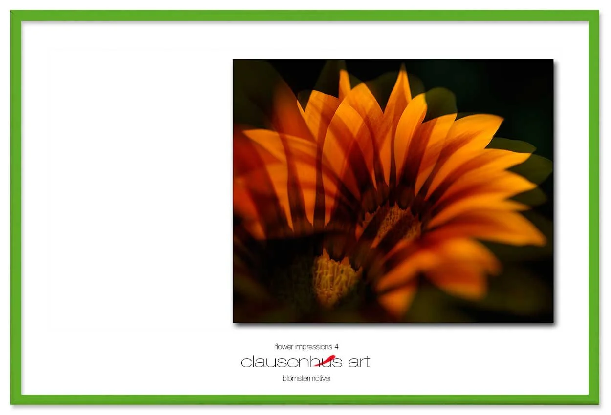 flower-impressions-4-copy.jpg