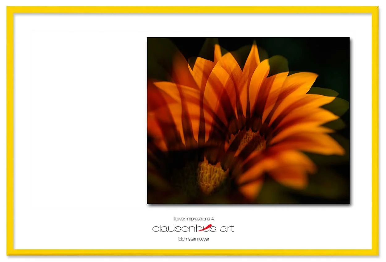 flower-impressions-4-copy.jpg