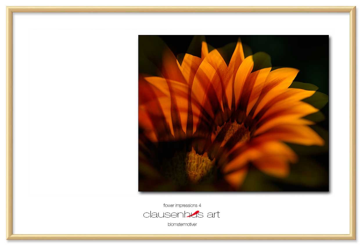 flower-impressions-4-copy.jpg