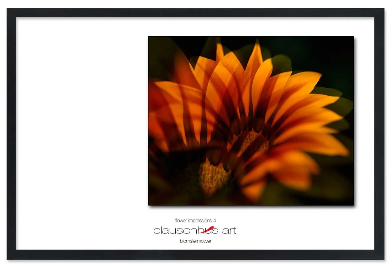 flower-impressions-4-copy.jpg