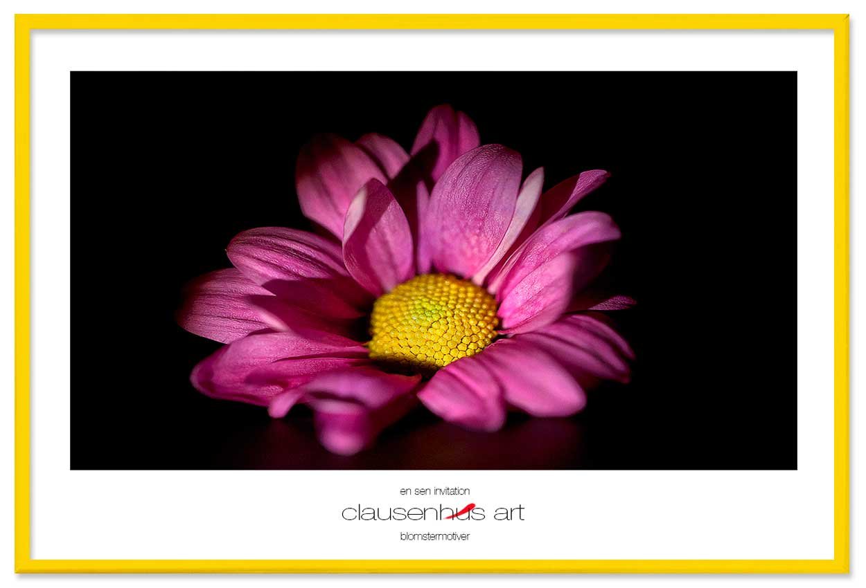 en-sen-invitation-copy.jpg