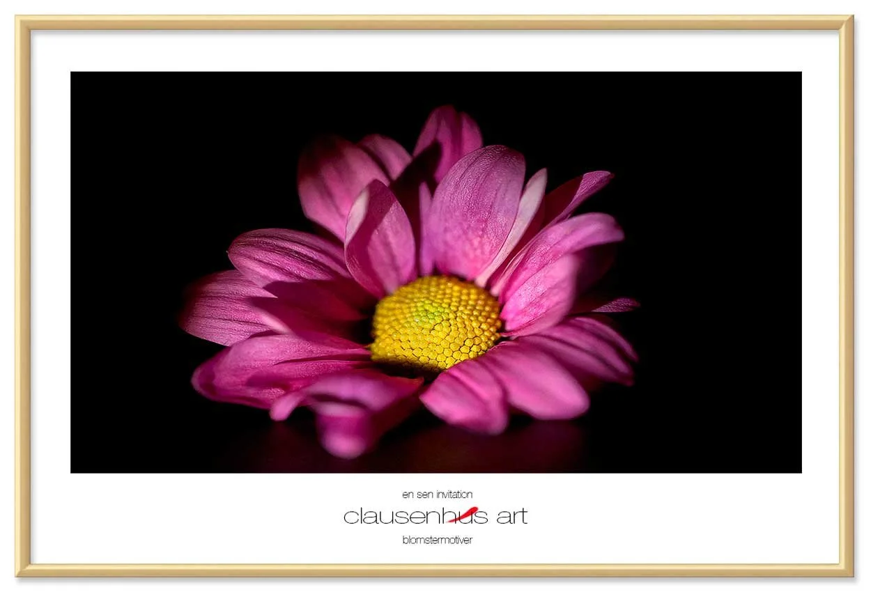 en-sen-invitation-copy.jpg