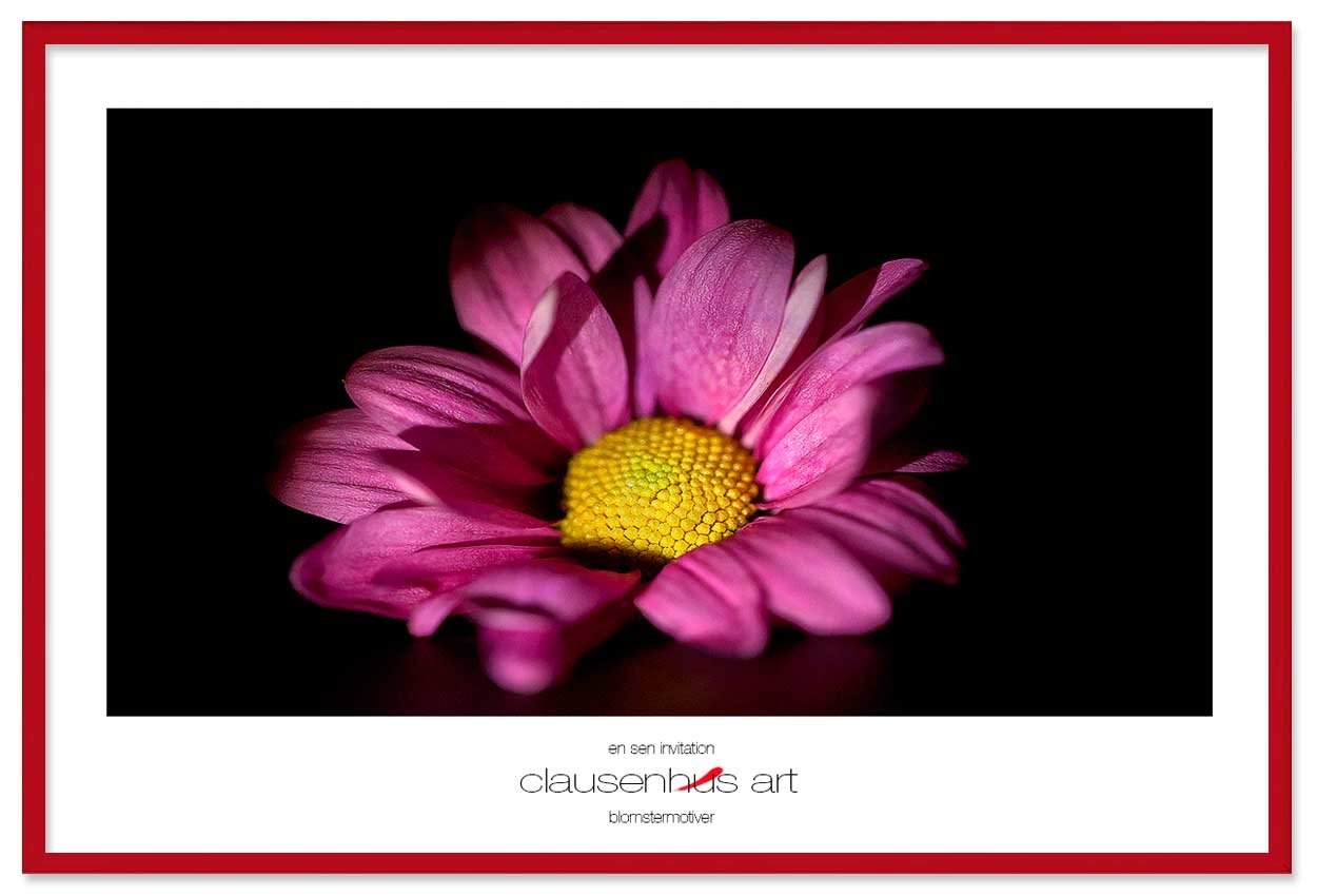 en-sen-invitation-copy.jpg