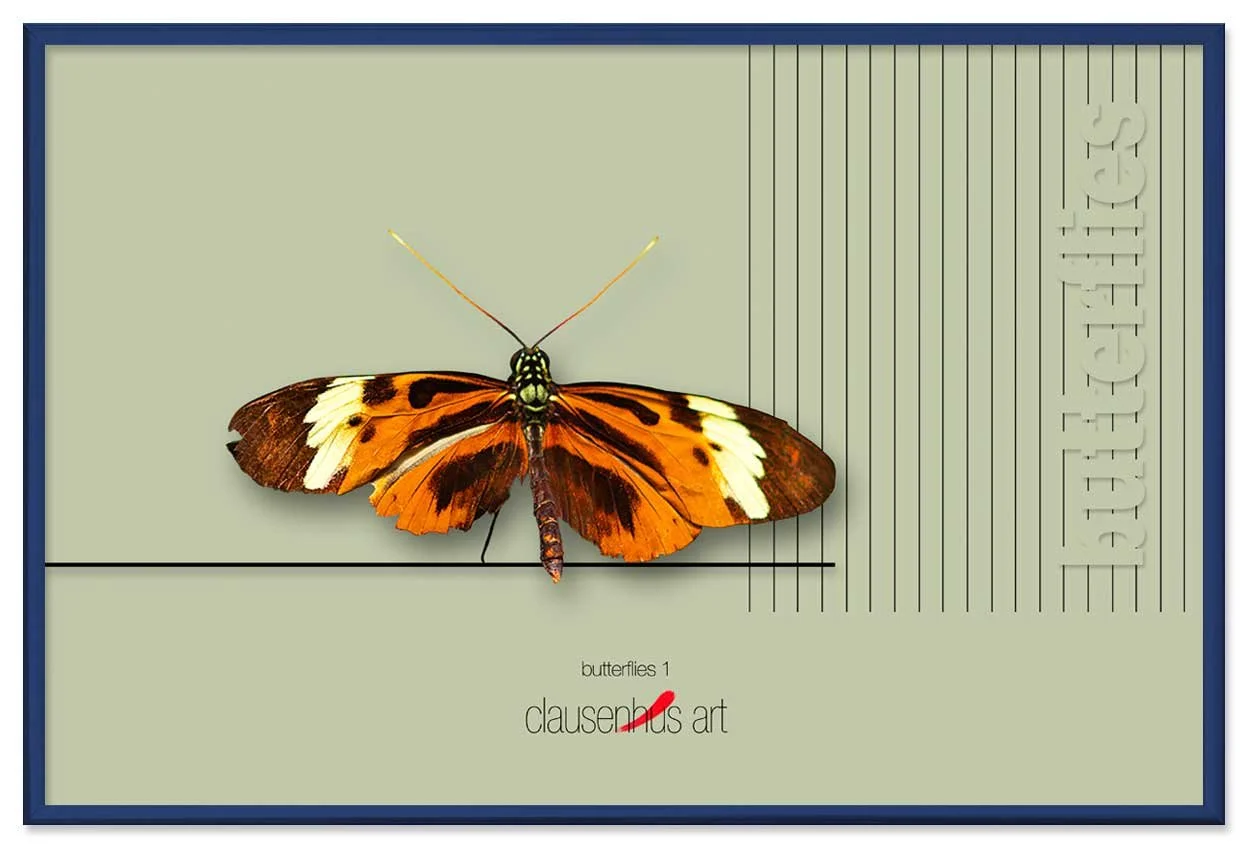 butterflies-1-copy.jpg