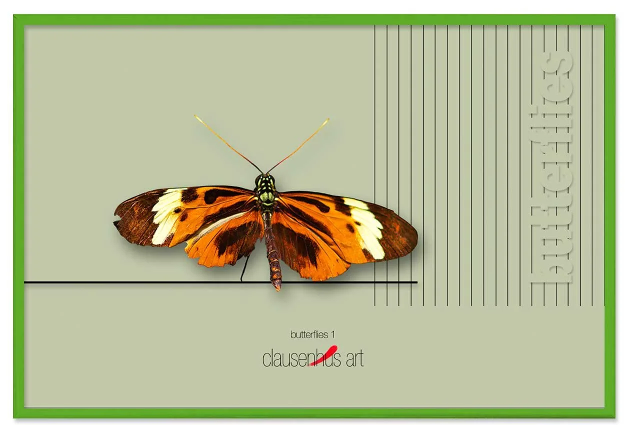 butterflies-1-copy.jpg