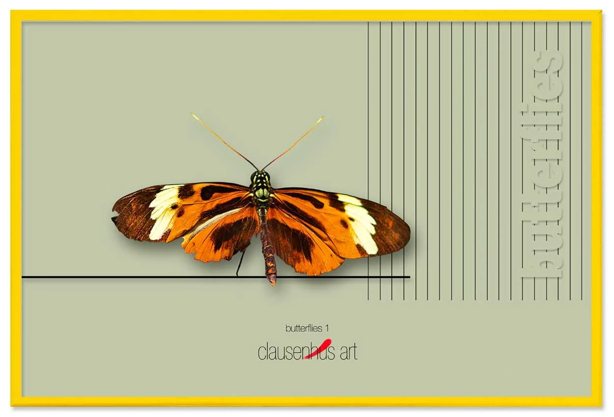 butterflies-1-copy.jpg