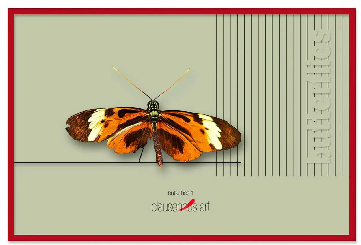 butterflies-1-copy.jpg