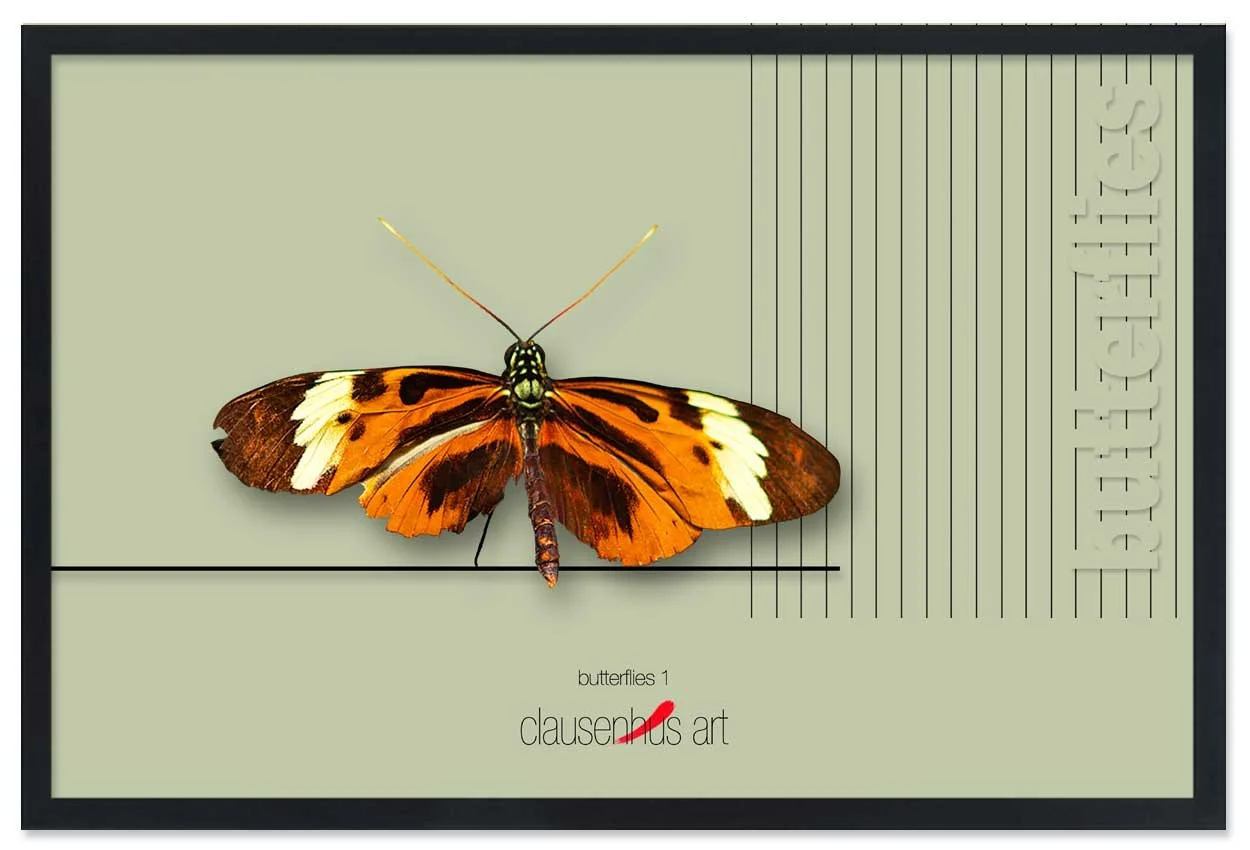 butterflies-1.jpg