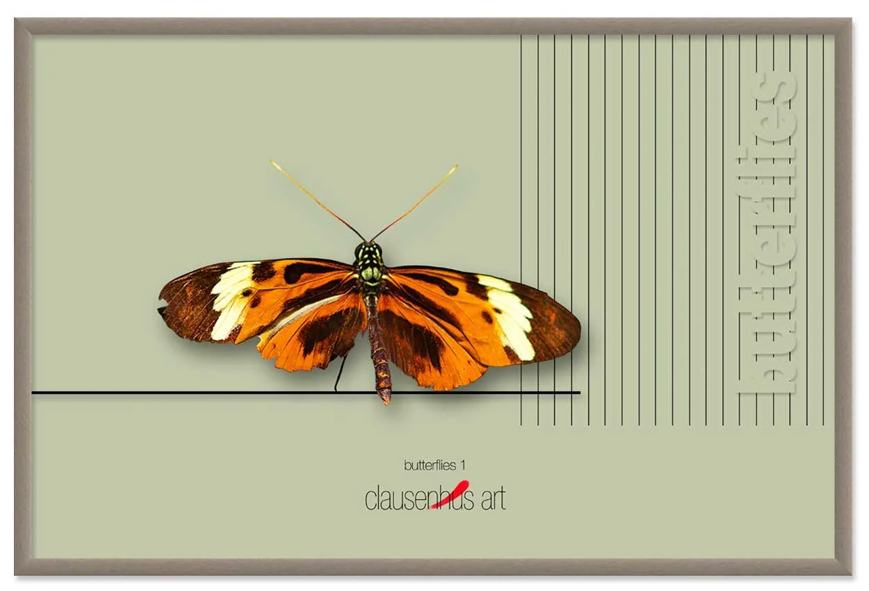 butterflies-1-copy.jpg