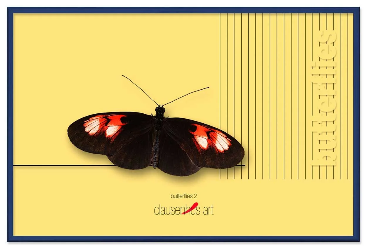butterflies-2-copy.jpg