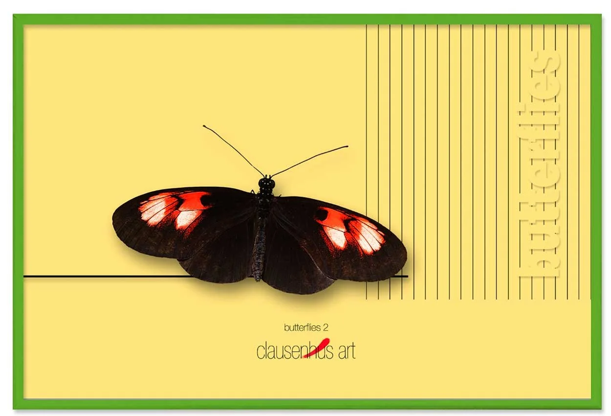 butterflies-2-copy.jpg
