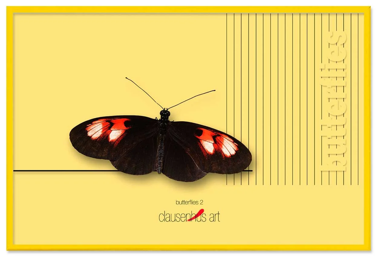 butterflies-2-copy.jpg